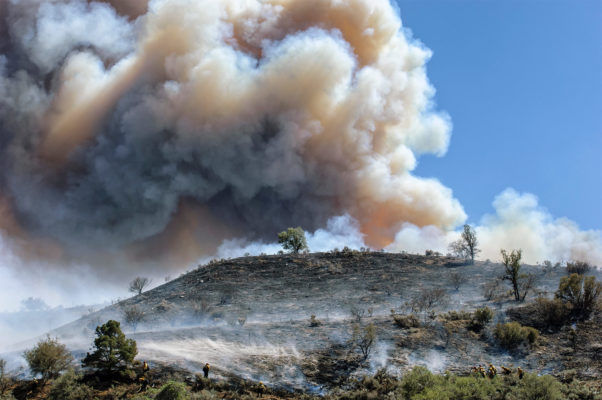 California fires, trauma and PTSD