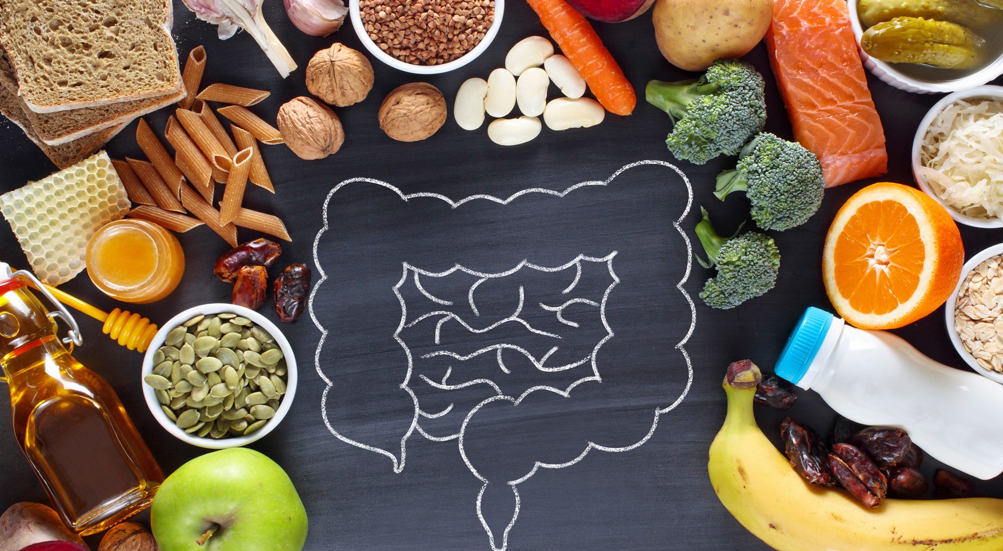 food outlining illustration of intestinal system